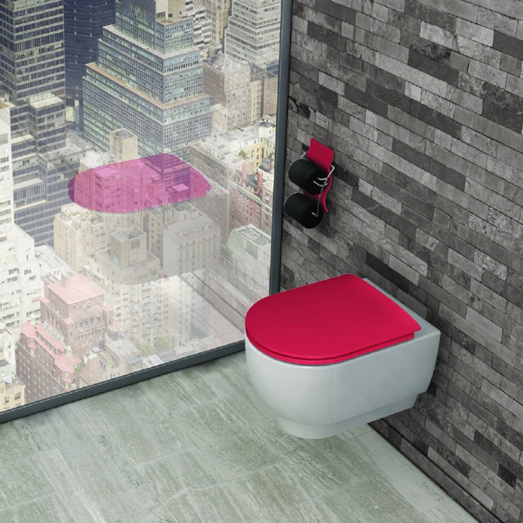 Easy-Clip-Toilettensitz mit abnehmbarer Funktion und einfarbigem Design