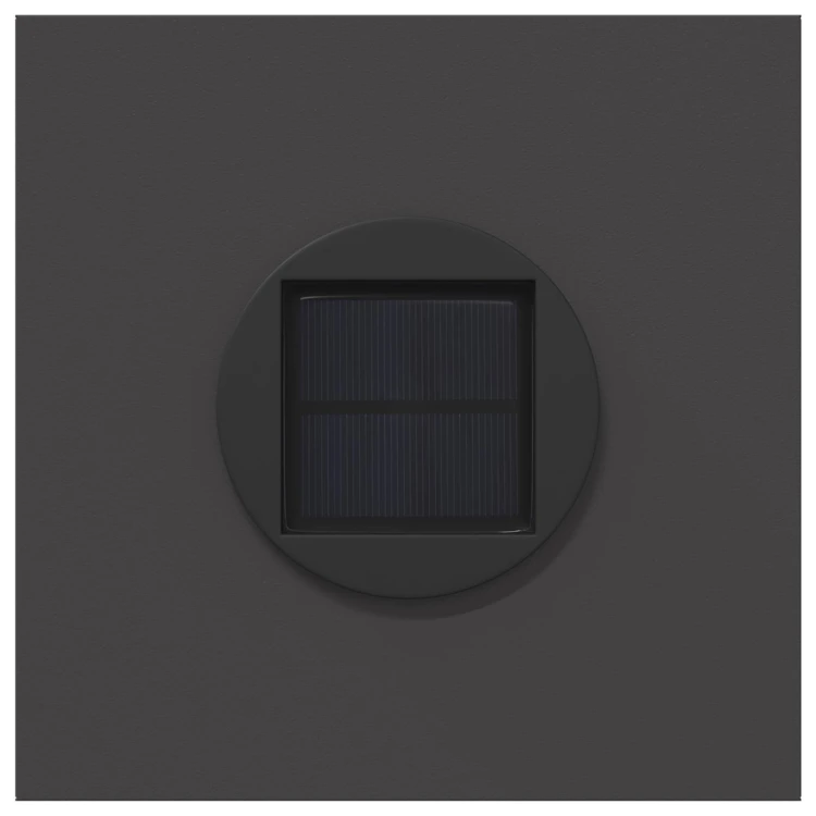 Lot de 2 lampes de chemin solaire LED extérieur végétal