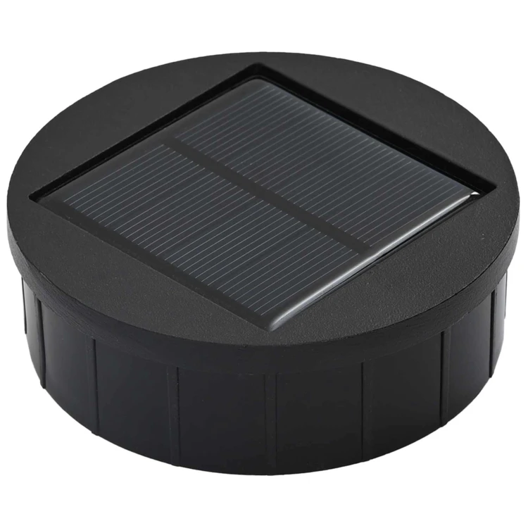 Lot de 2 lampes de chemin solaire LED extérieur végétal