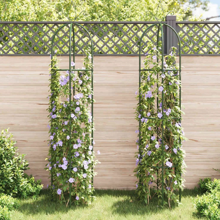 Arche de jardin en métal pour plantes