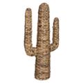 Cactus sobre soporte de caña