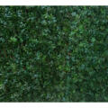 Enrejado “hojas de uva verde” JET7GARDEN”