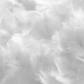 Edredón de algodón “NATURE DUVET”